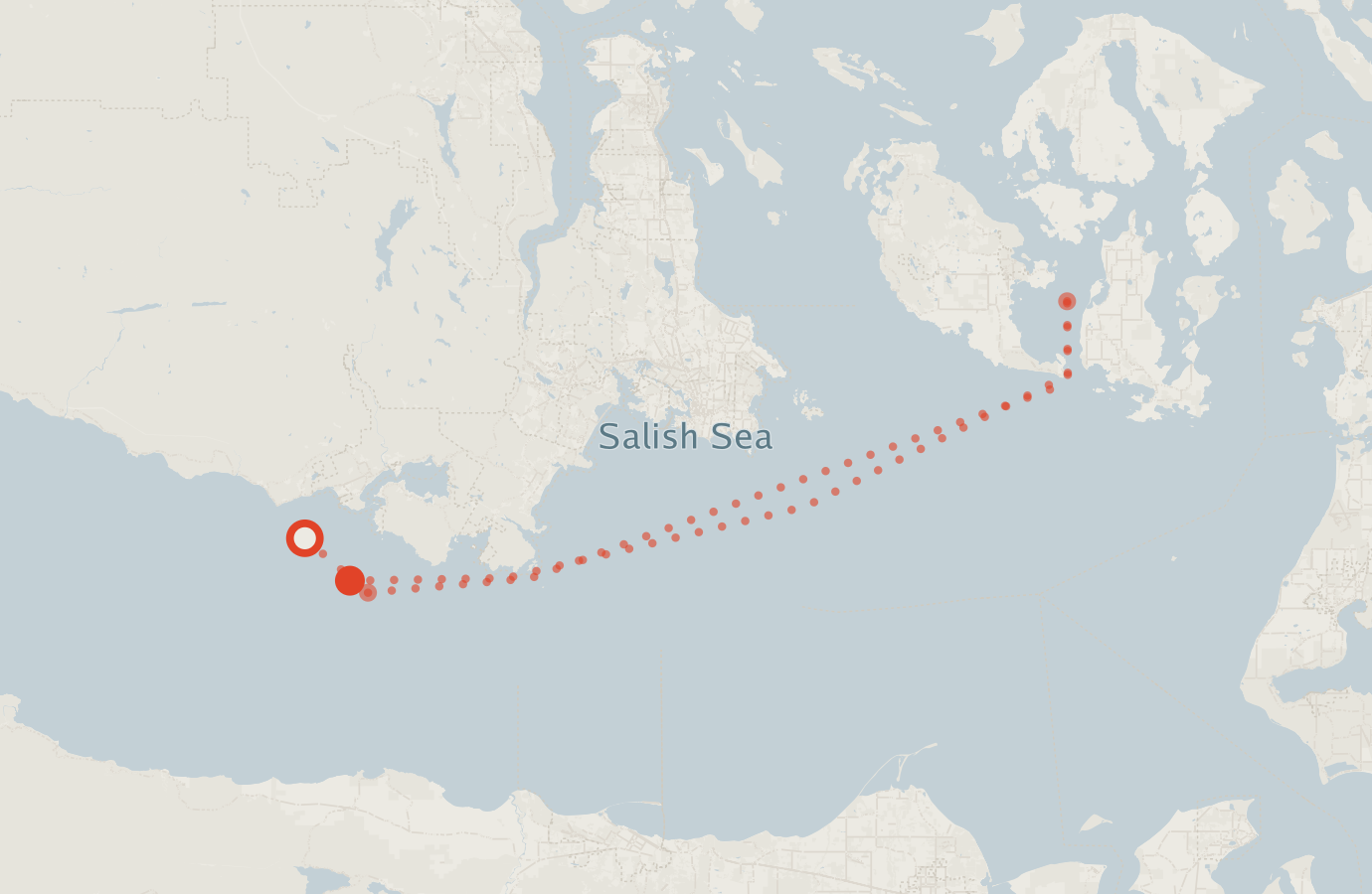 Activity map — real sighting points on an OpenStreetMap basemap