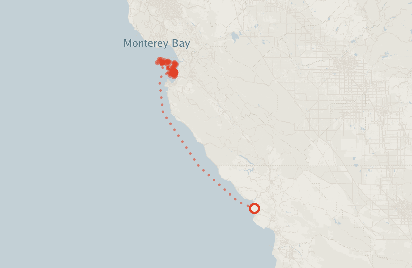 Activity map — real sighting points on an OpenStreetMap basemap