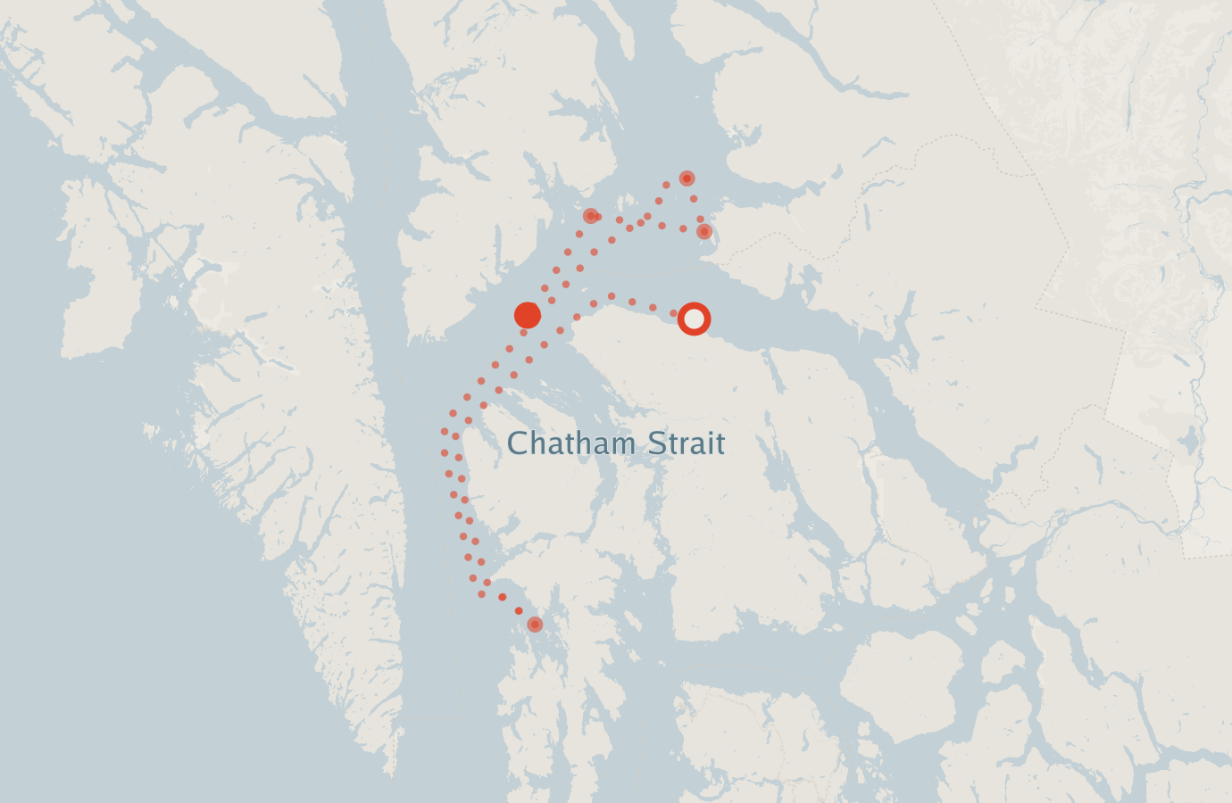 Activity map — real sighting points on an OpenStreetMap basemap