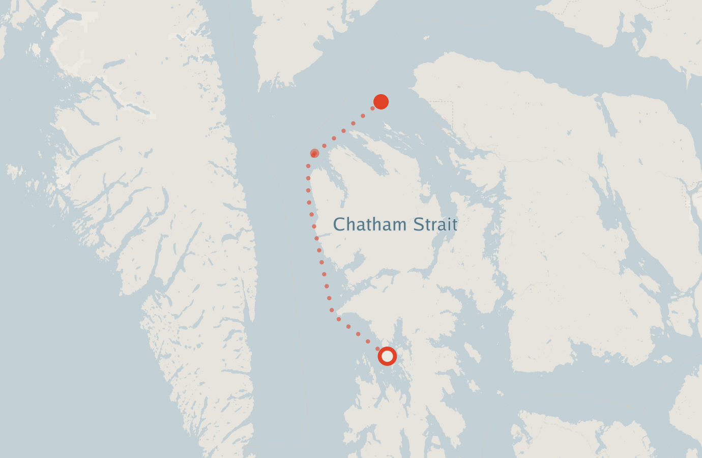 Activity map — real sighting points on an OpenStreetMap basemap