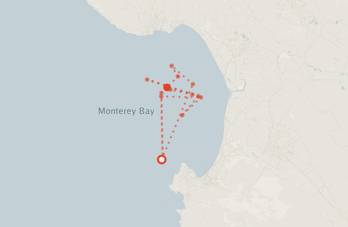 Activity map — real sighting points on an OpenStreetMap basemap