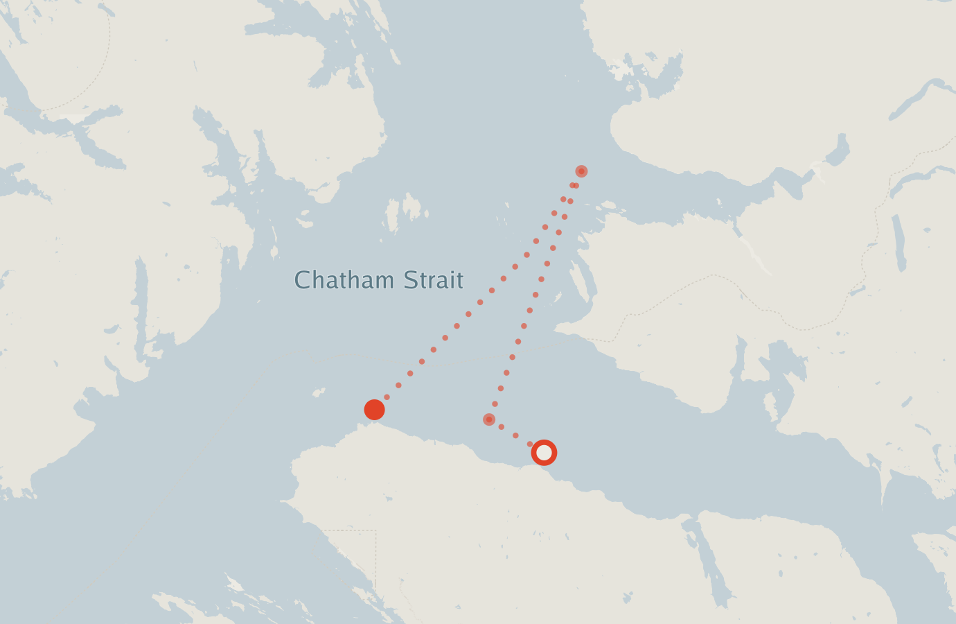 Activity map — real sighting points on an OpenStreetMap basemap