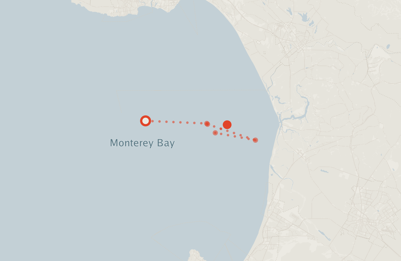 Activity map — real sighting points on an OpenStreetMap basemap