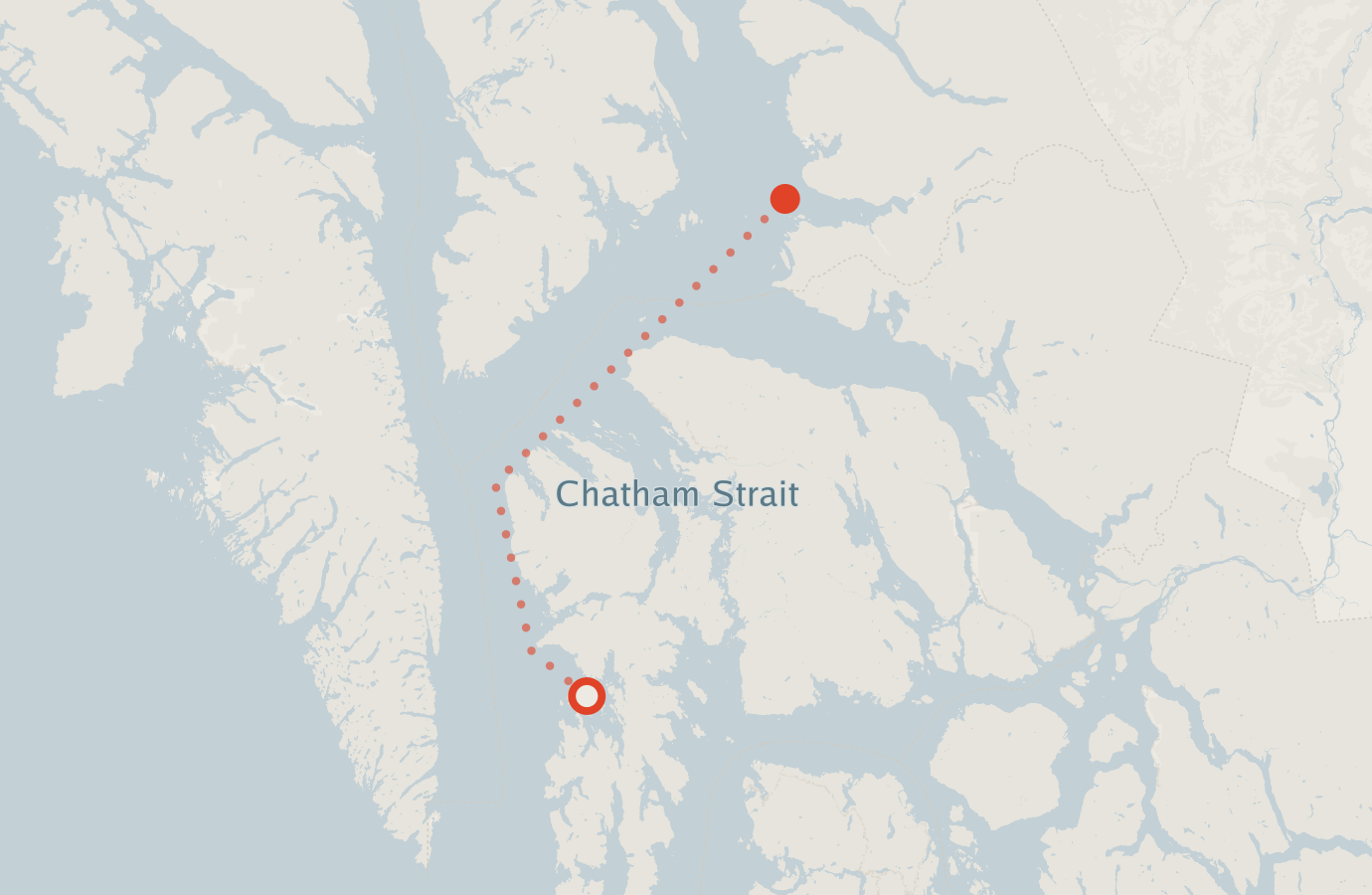 Activity map — real sighting points on an OpenStreetMap basemap