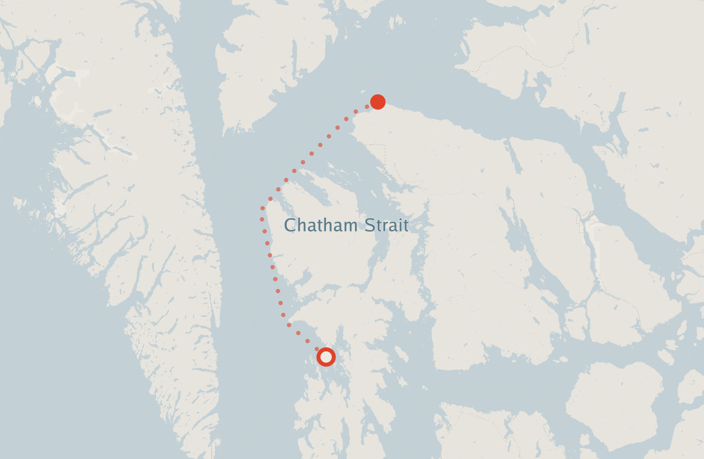 Activity map — real sighting points on an OpenStreetMap basemap