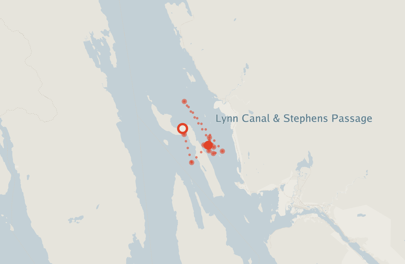 Activity map — real sighting points on an OpenStreetMap basemap