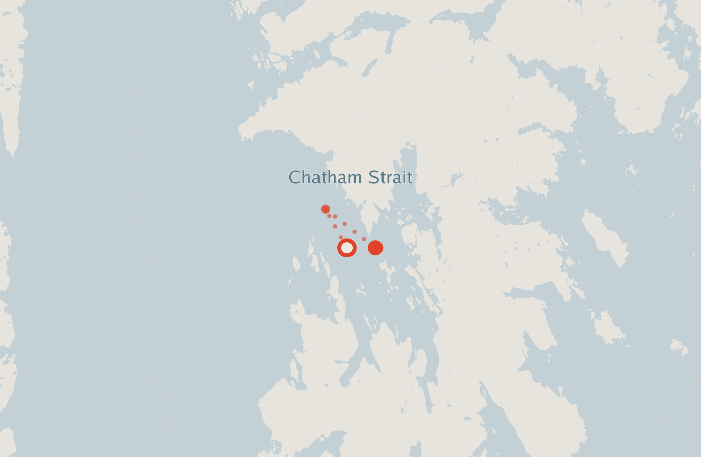 Activity map — real sighting points on an OpenStreetMap basemap
