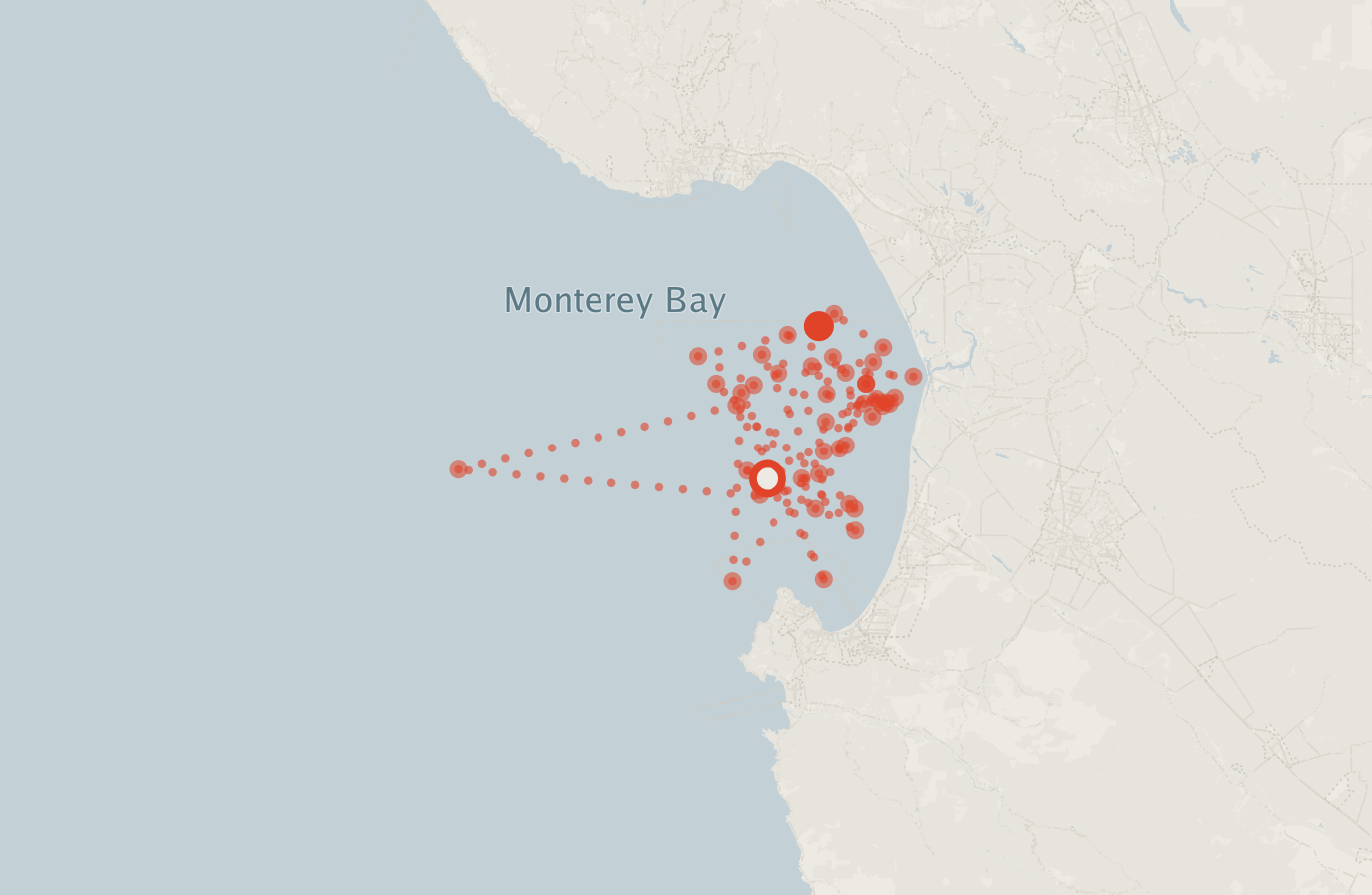 Activity map — real sighting points on an OpenStreetMap basemap
