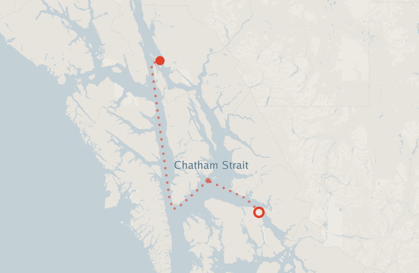 Activity map — real sighting points on an OpenStreetMap basemap