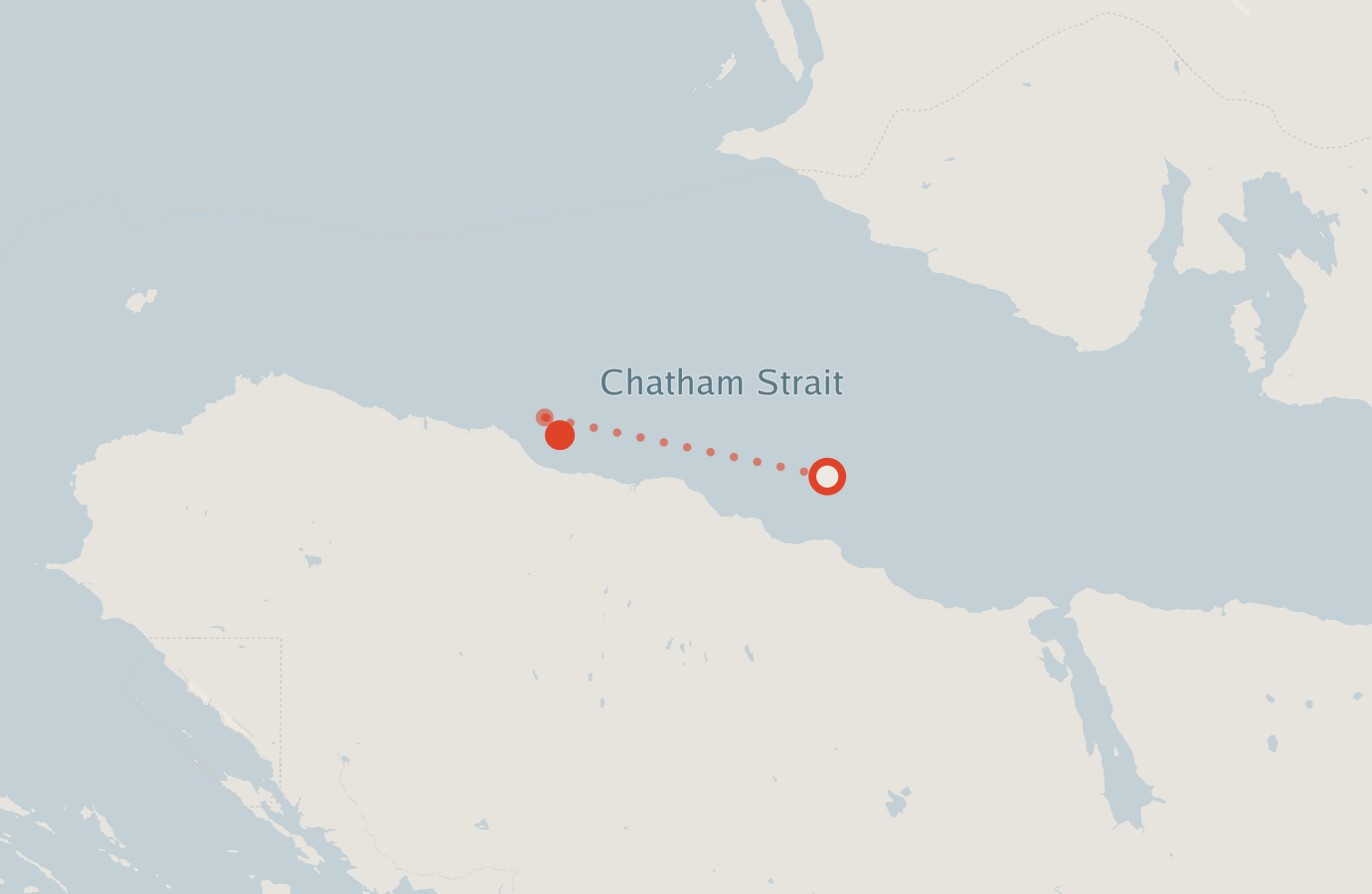 Activity map — real sighting points on an OpenStreetMap basemap