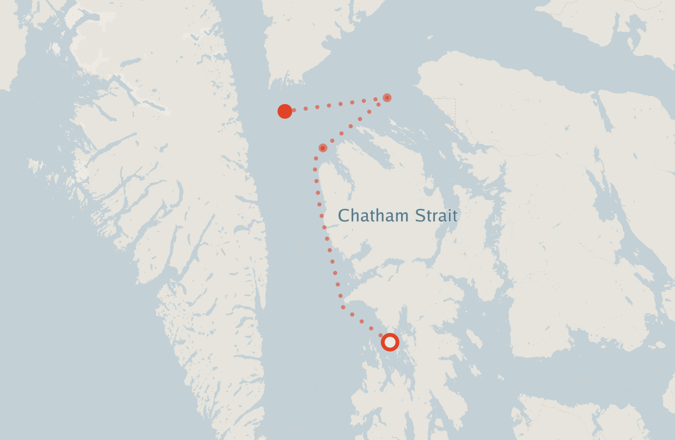 Activity map — real sighting points on an OpenStreetMap basemap