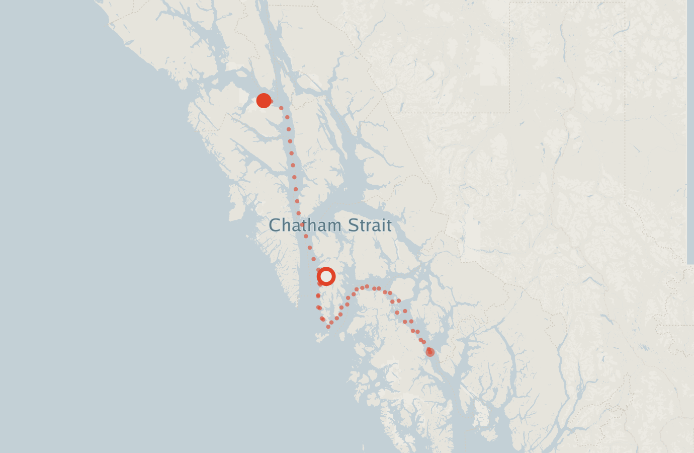 Activity map — real sighting points on an OpenStreetMap basemap