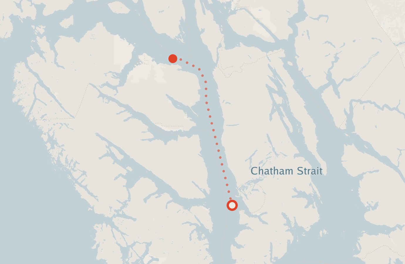 Activity map — real sighting points on an OpenStreetMap basemap