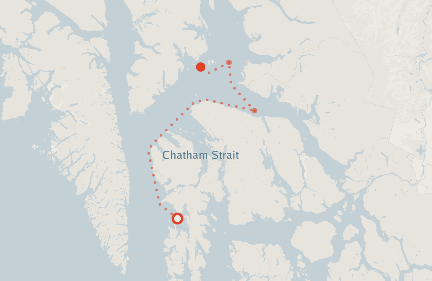 Activity map — real sighting points on an OpenStreetMap basemap
