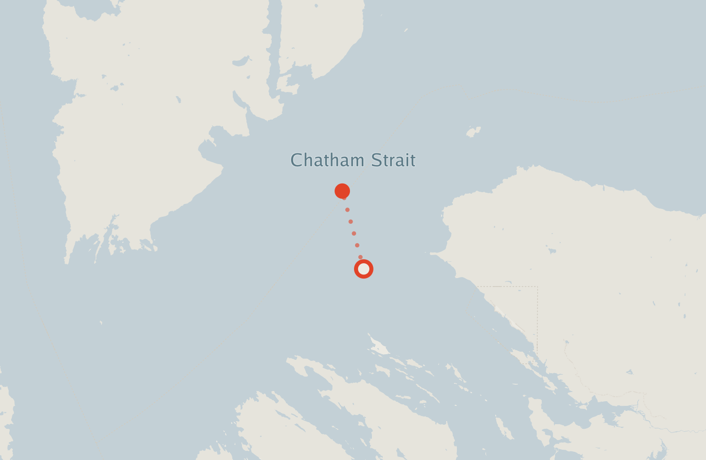 Activity map — real sighting points on an OpenStreetMap basemap