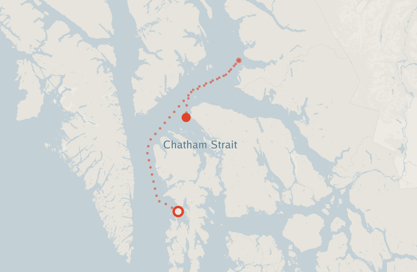 Activity map — real sighting points on an OpenStreetMap basemap