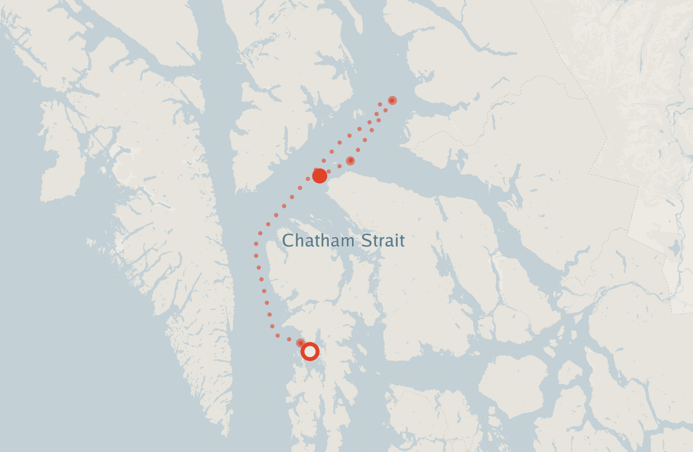 Activity map — real sighting points on an OpenStreetMap basemap