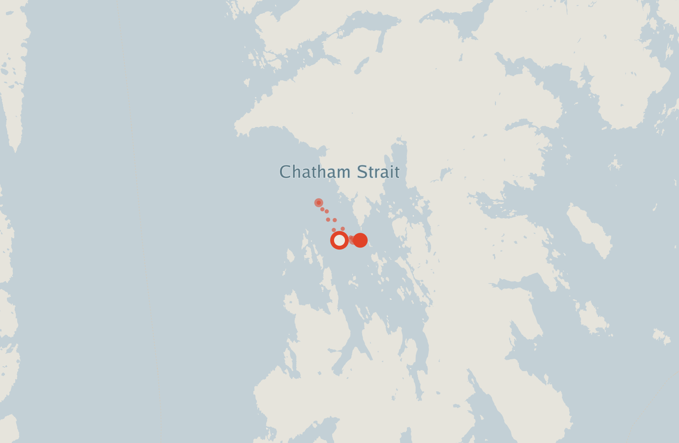 Activity map — real sighting points on an OpenStreetMap basemap