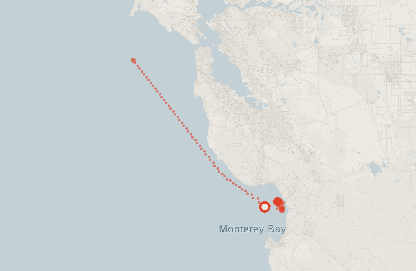 Activity map — real sighting points on an OpenStreetMap basemap