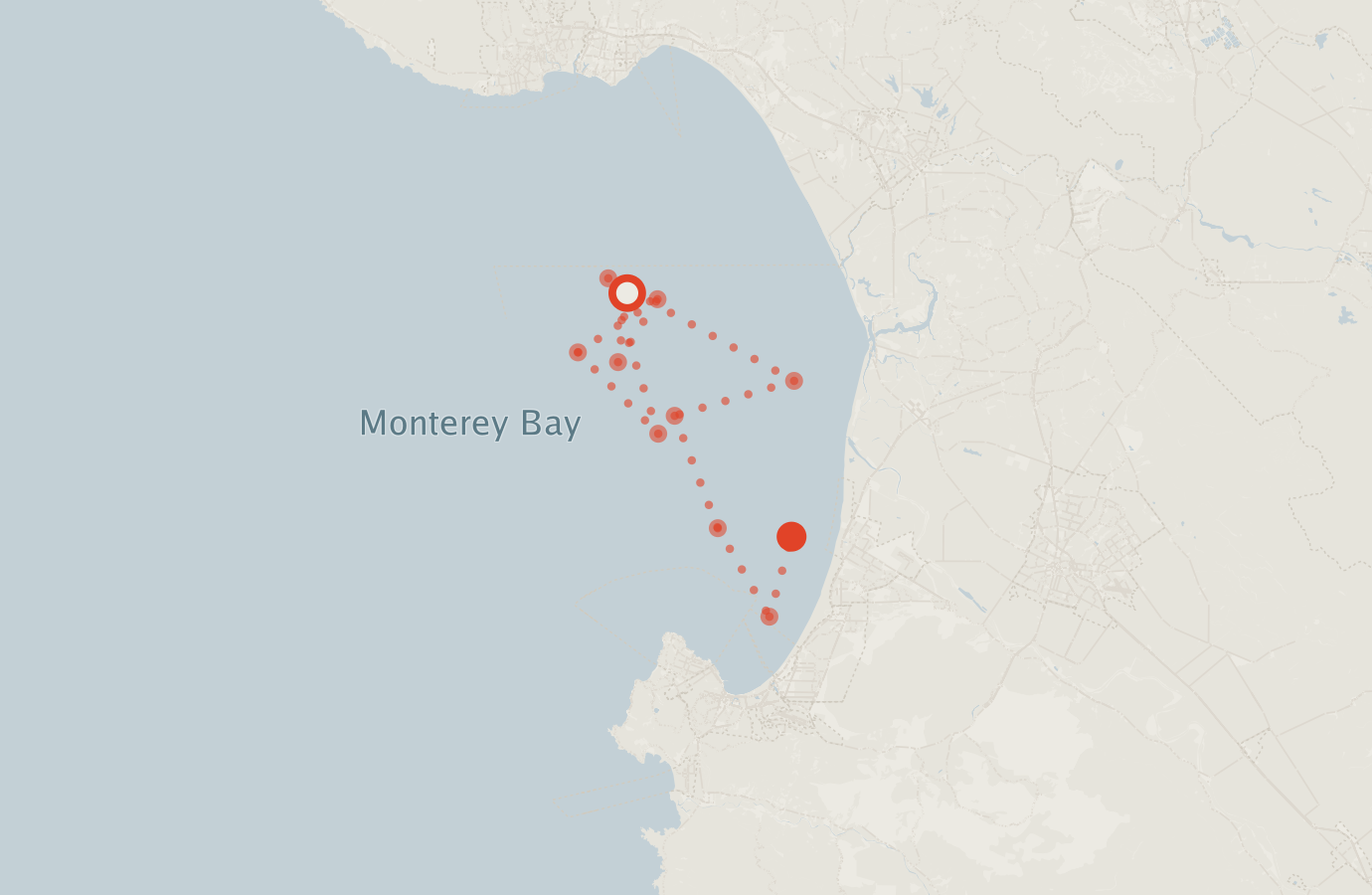 Activity map — real sighting points on an OpenStreetMap basemap