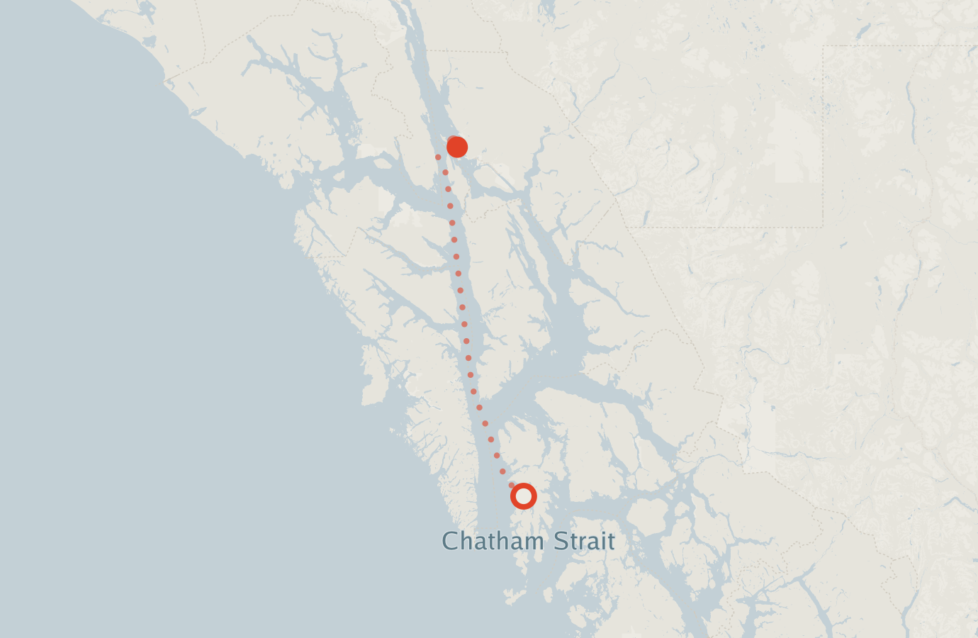 Activity map — real sighting points on an OpenStreetMap basemap