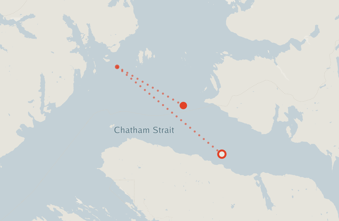 Activity map — real sighting points on an OpenStreetMap basemap