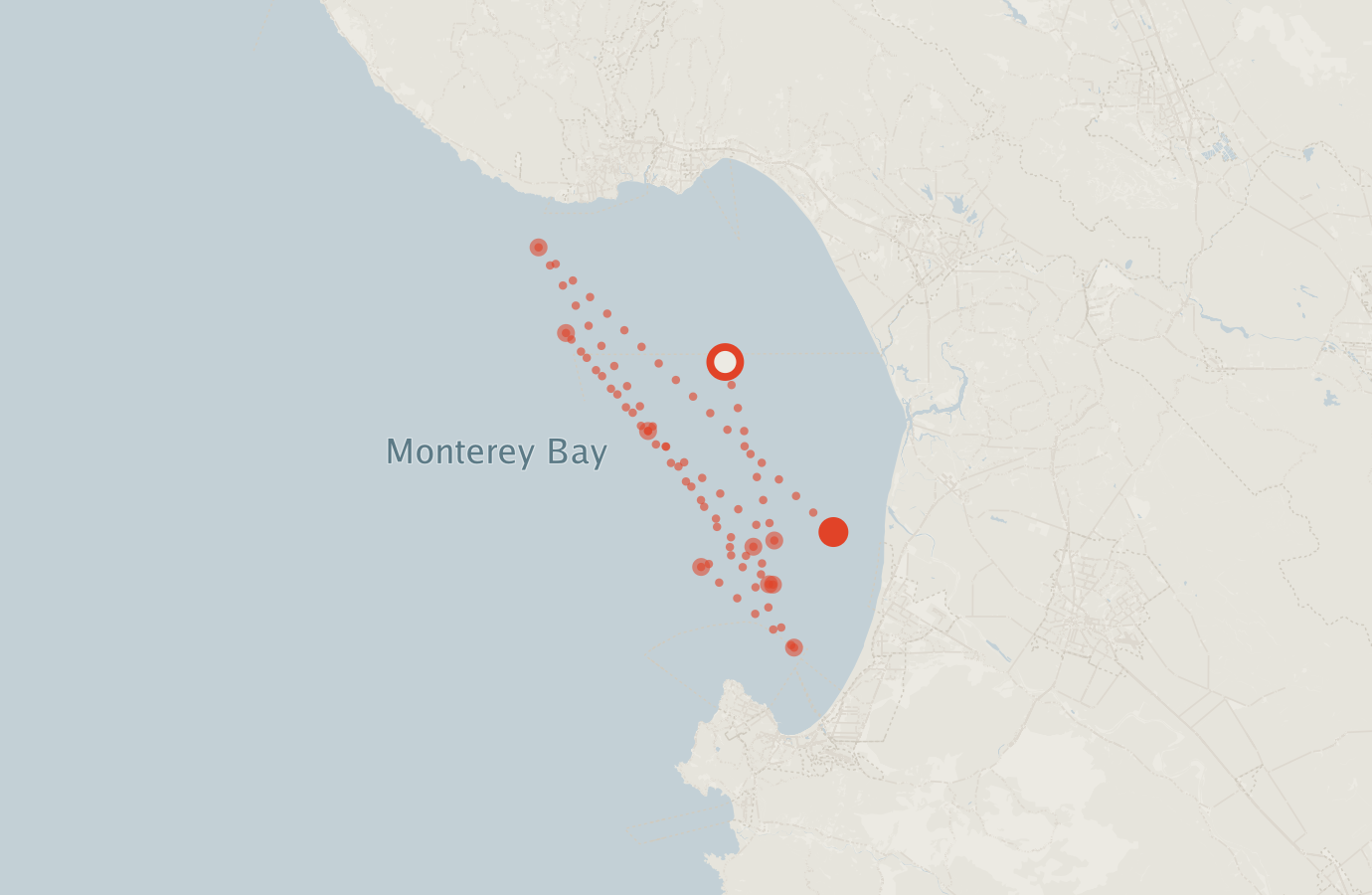 Activity map — real sighting points on an OpenStreetMap basemap