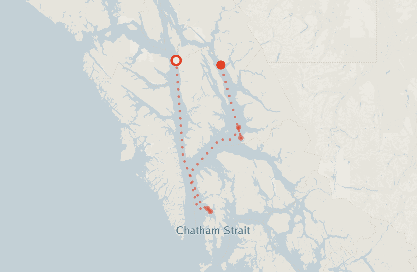 Activity map — real sighting points on an OpenStreetMap basemap
