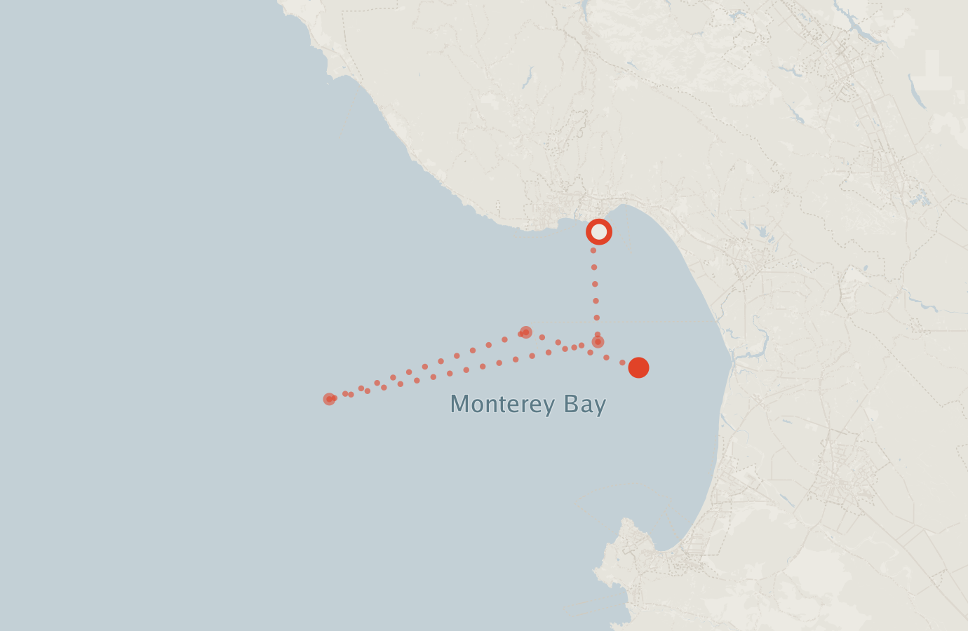 Activity map — real sighting points on an OpenStreetMap basemap