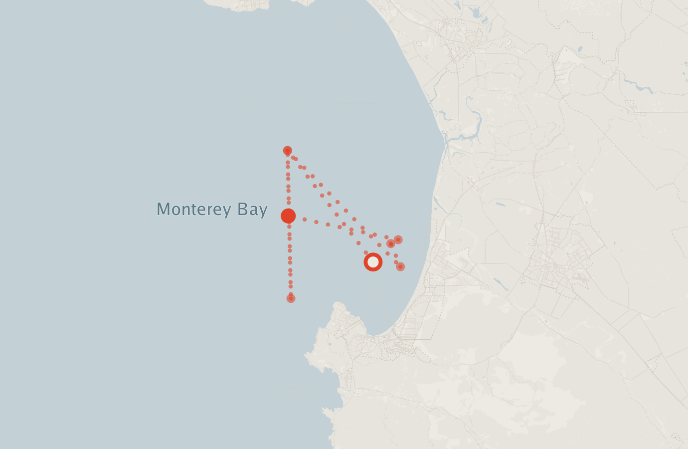 Activity map — real sighting points on an OpenStreetMap basemap