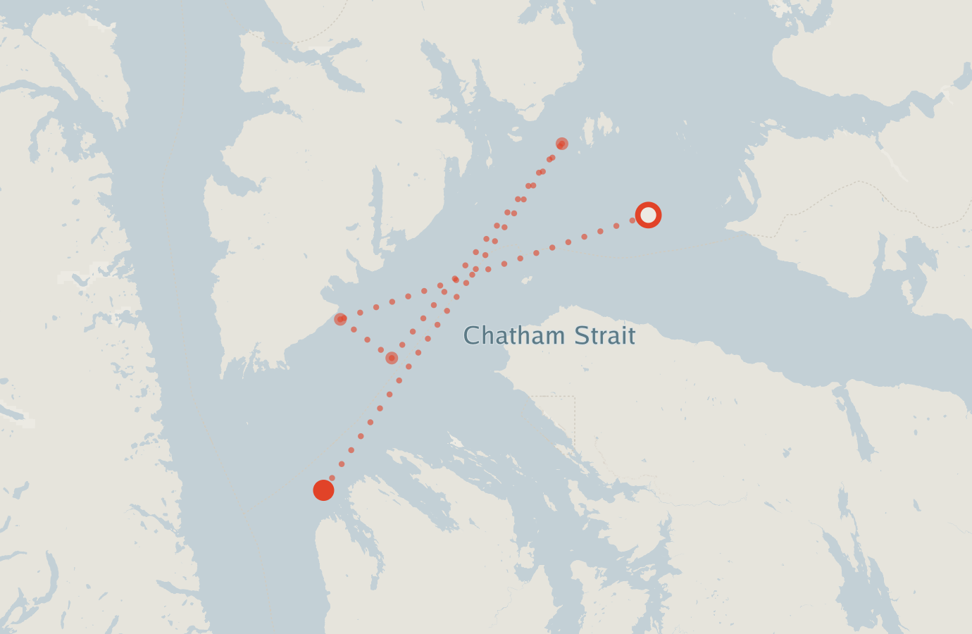 Activity map — real sighting points on an OpenStreetMap basemap