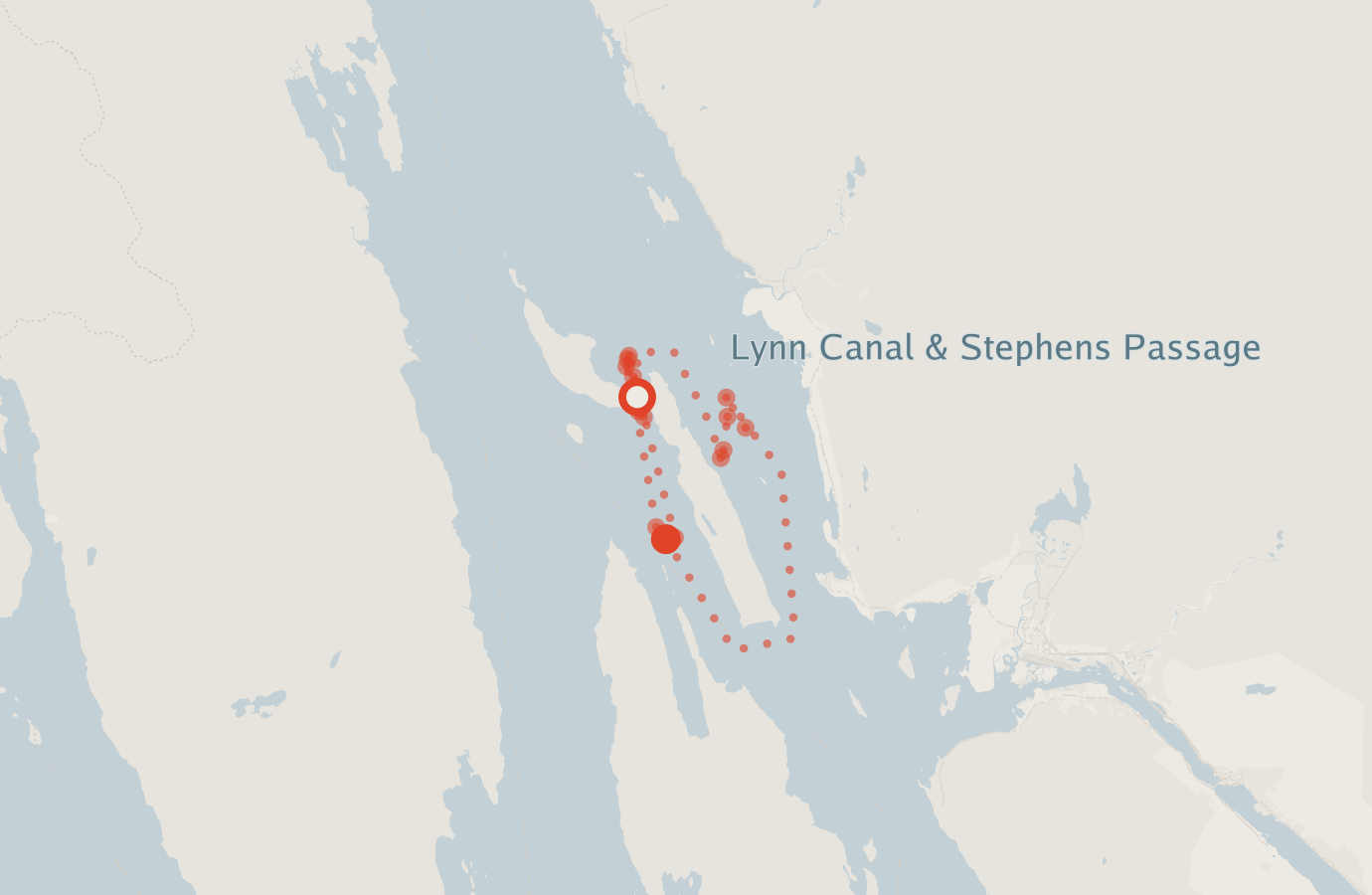 Activity map — real sighting points on an OpenStreetMap basemap