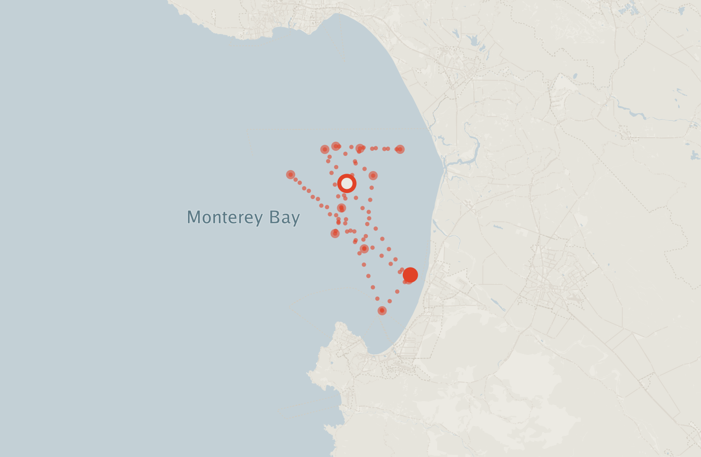 Activity map — real sighting points on an OpenStreetMap basemap
