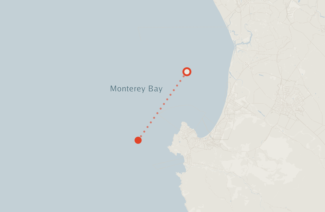 Activity map — real sighting points on an OpenStreetMap basemap