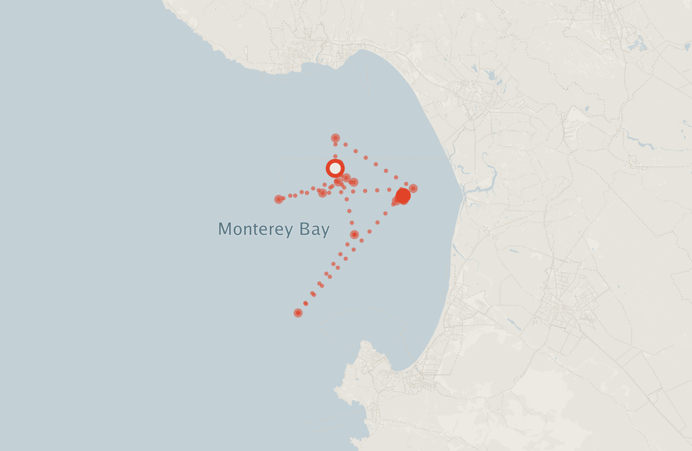 Activity map — real sighting points on an OpenStreetMap basemap