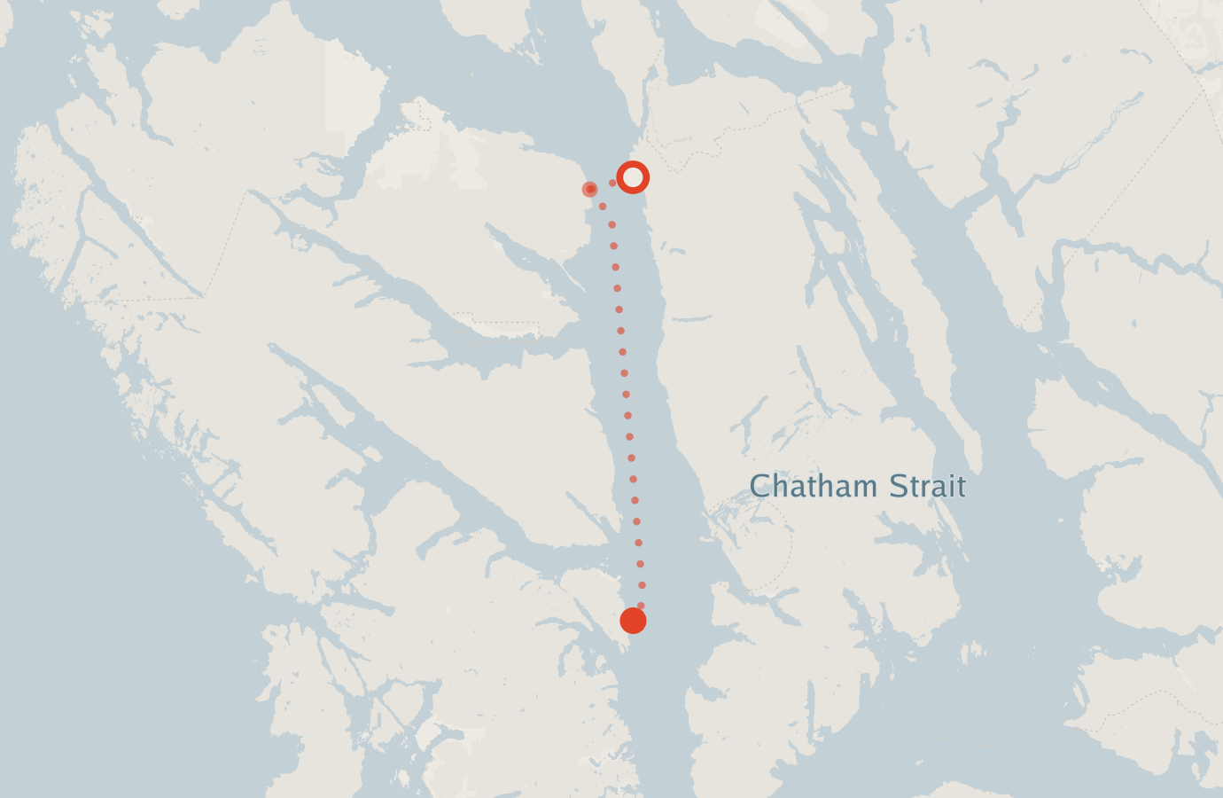 Activity map — real sighting points on an OpenStreetMap basemap