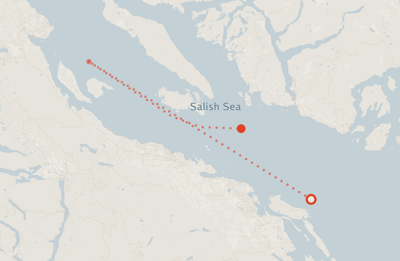 Activity map — real sighting points on an OpenStreetMap basemap