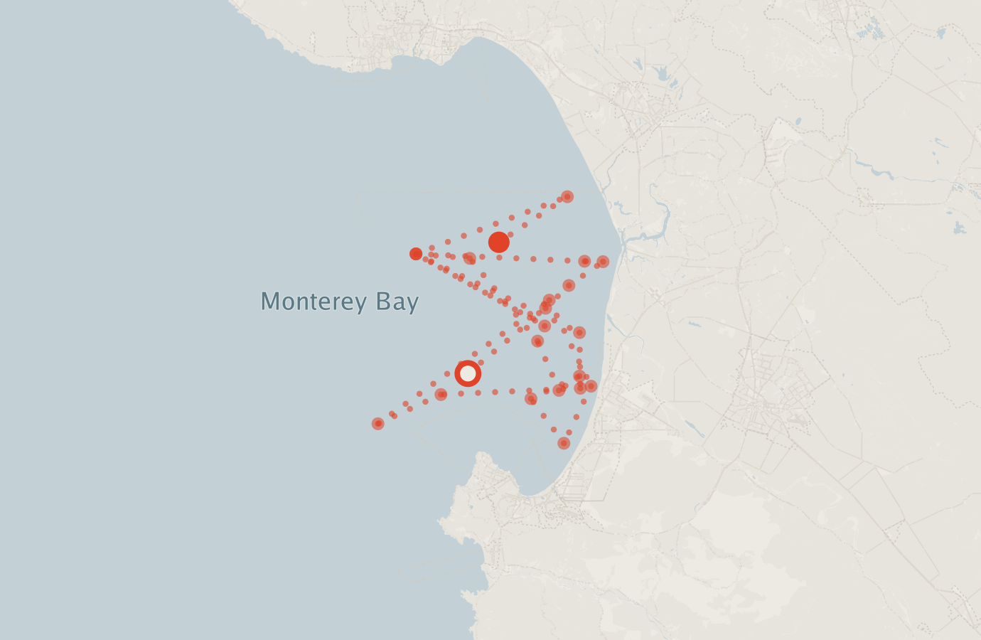 Activity map — real sighting points on an OpenStreetMap basemap