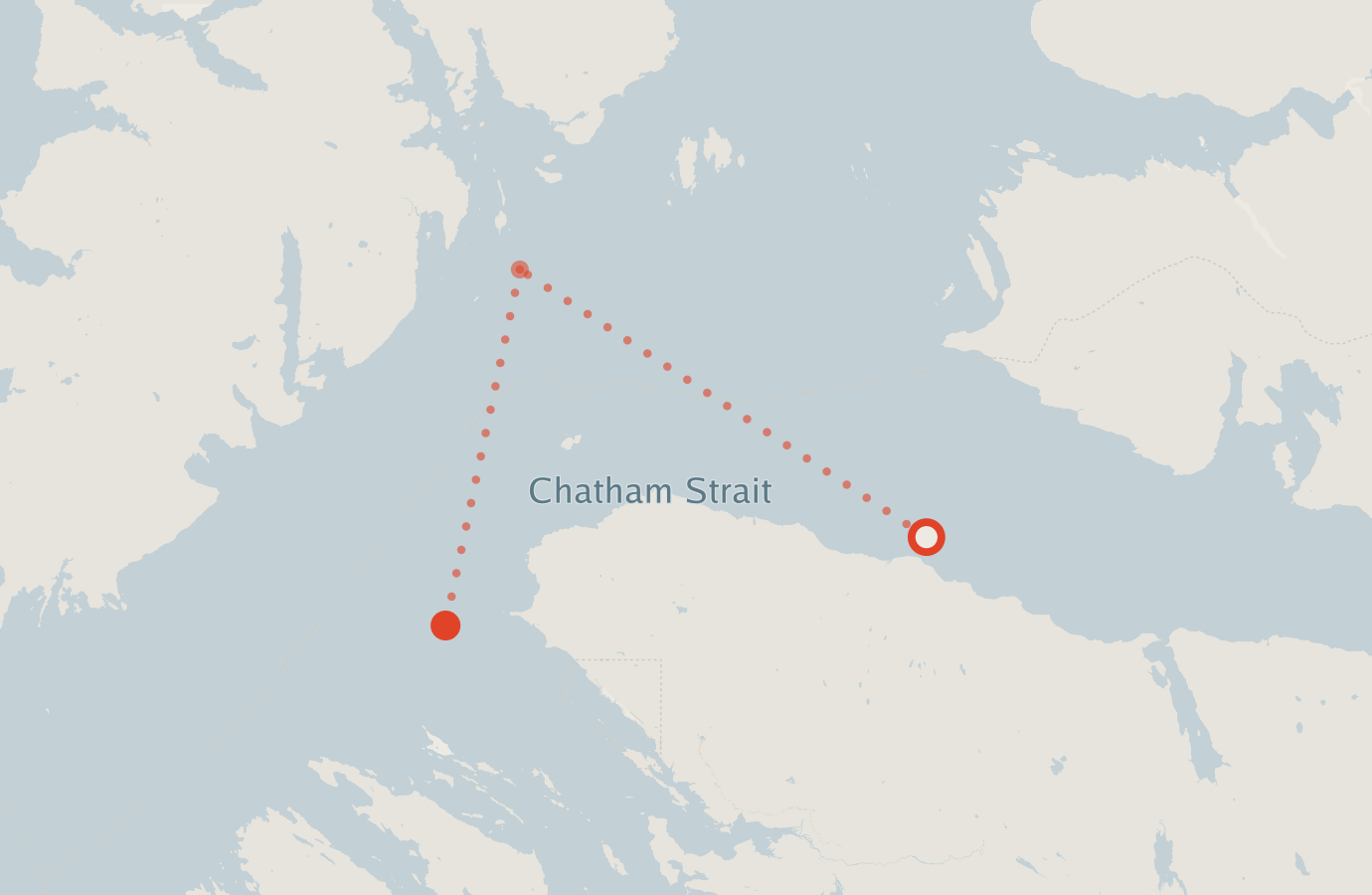 Activity map — real sighting points on an OpenStreetMap basemap
