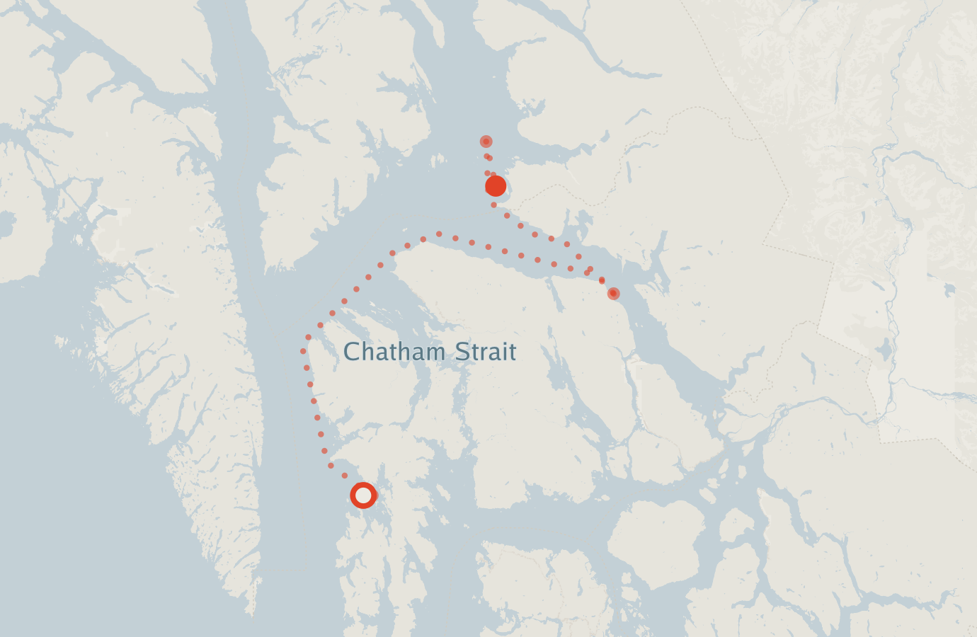 Activity map — real sighting points on an OpenStreetMap basemap