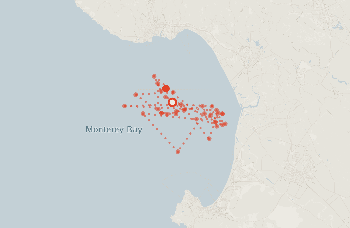 Activity map — real sighting points on an OpenStreetMap basemap