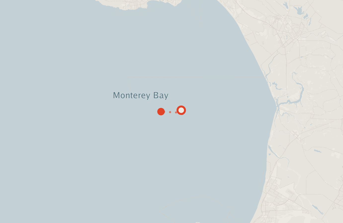 Activity map — real sighting points on an OpenStreetMap basemap