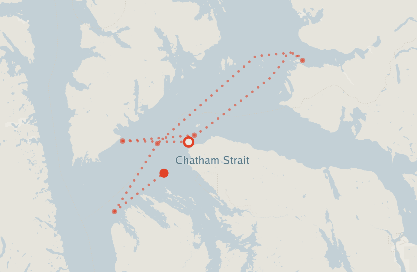 Activity map — real sighting points on an OpenStreetMap basemap