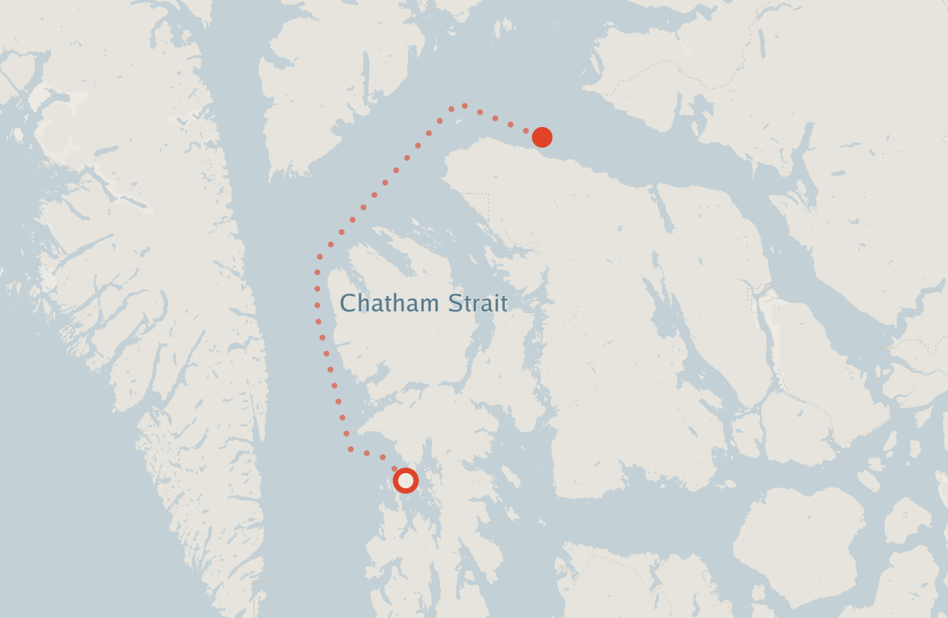 Activity map — real sighting points on an OpenStreetMap basemap
