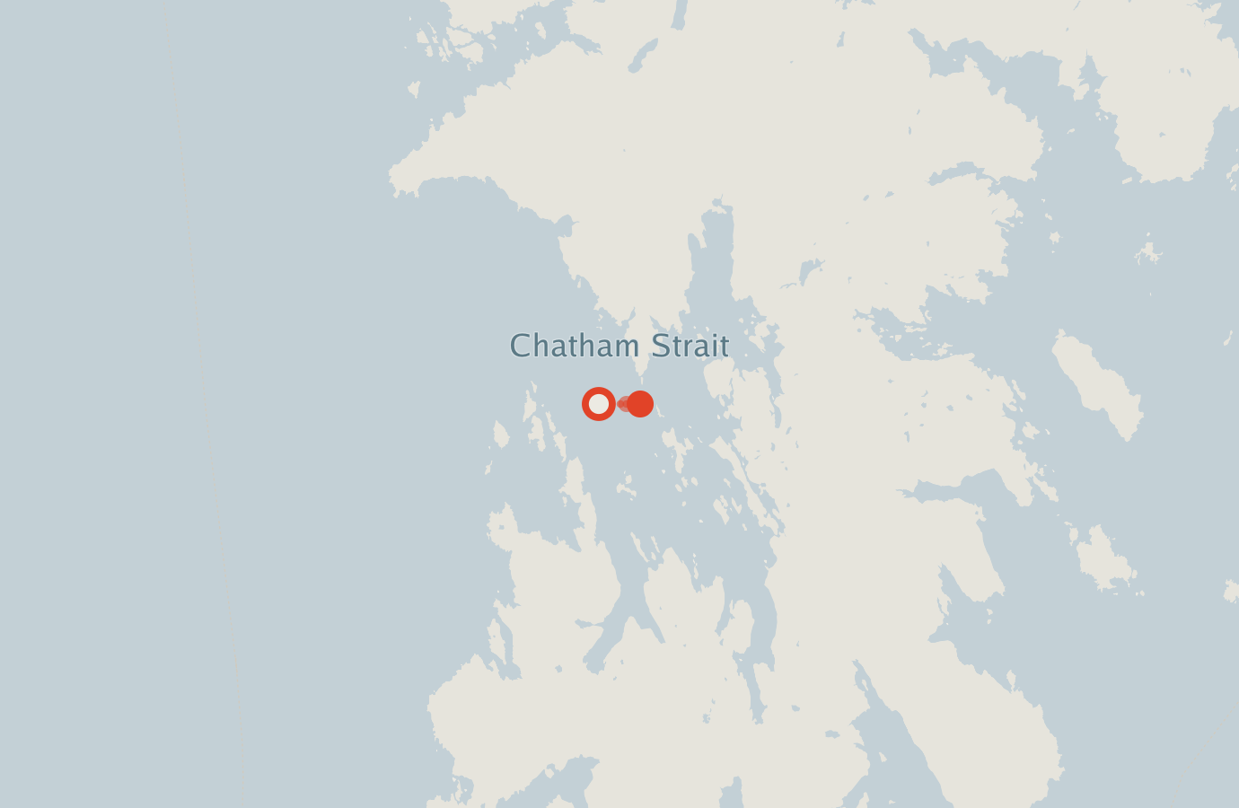 Activity map — real sighting points on an OpenStreetMap basemap