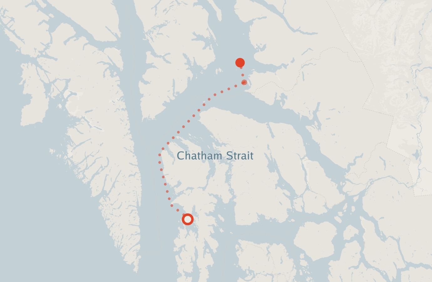 Activity map — real sighting points on an OpenStreetMap basemap