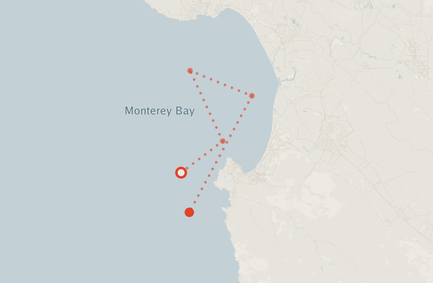 Activity map — real sighting points on an OpenStreetMap basemap