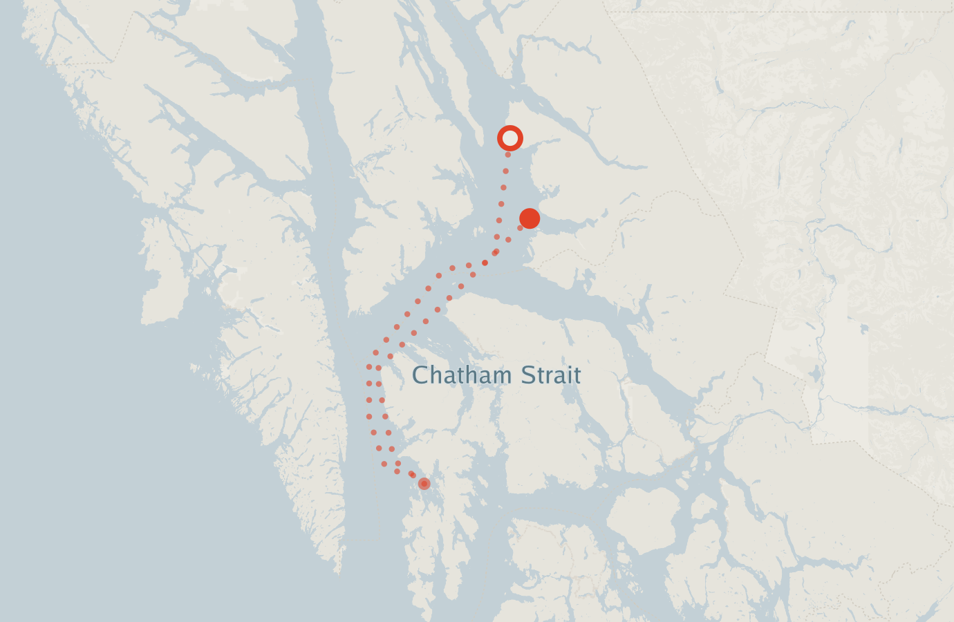 Activity map — real sighting points on an OpenStreetMap basemap