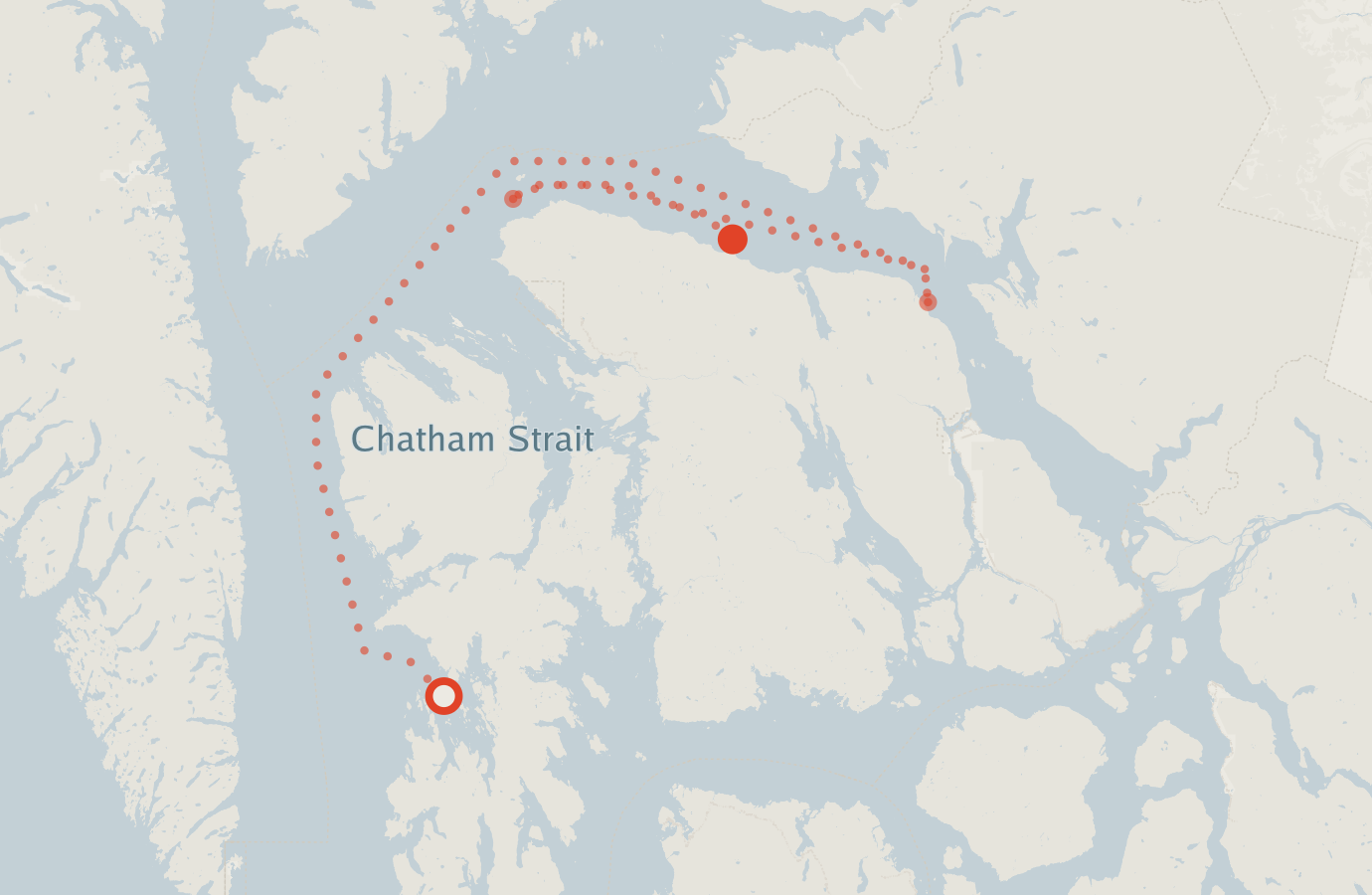 Activity map — real sighting points on an OpenStreetMap basemap