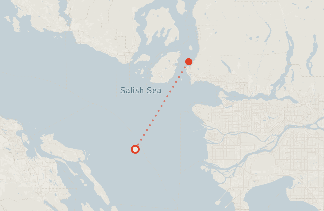 Activity map — real sighting points on an OpenStreetMap basemap